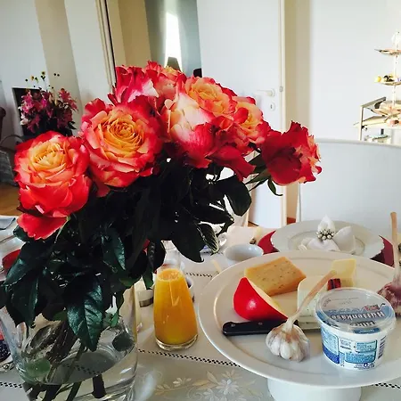 Guest House Bellevue Terrace Zurich