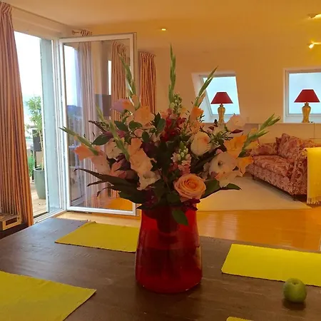 Guest house Guest House Bellevue Terrace *