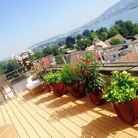Guest House Bellevue Terrace Zurich