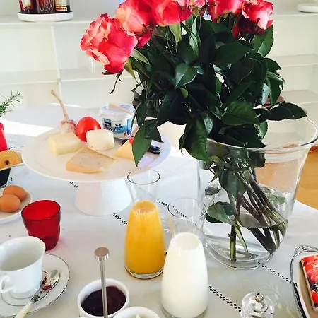 Guest House Bellevue Terrace Guest house Zurich