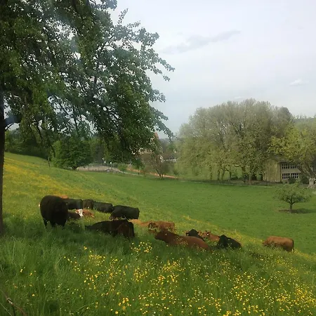 Bellevue Terrace Vendégház Zürich